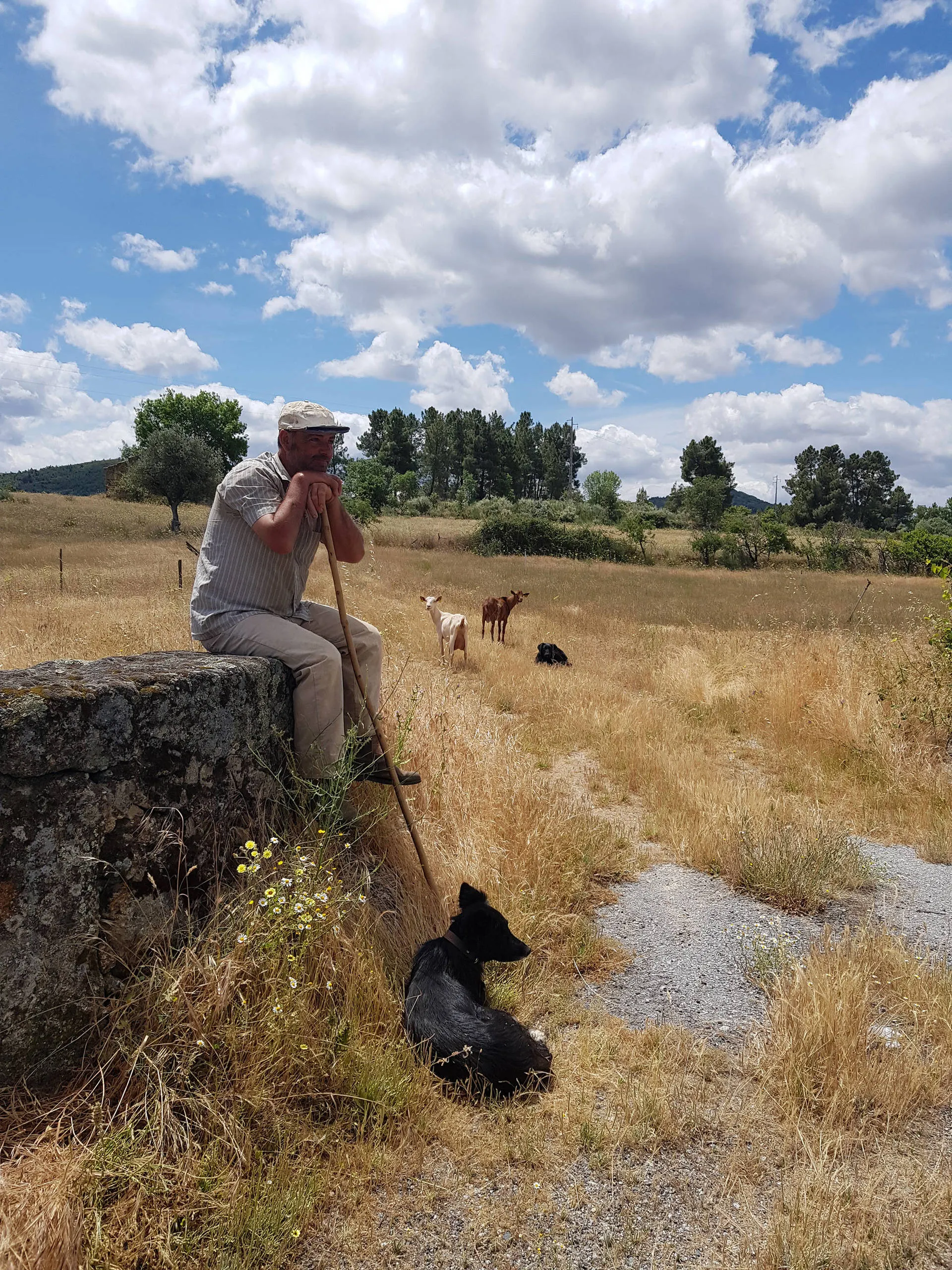 Onthaasten in het hart van Portugal