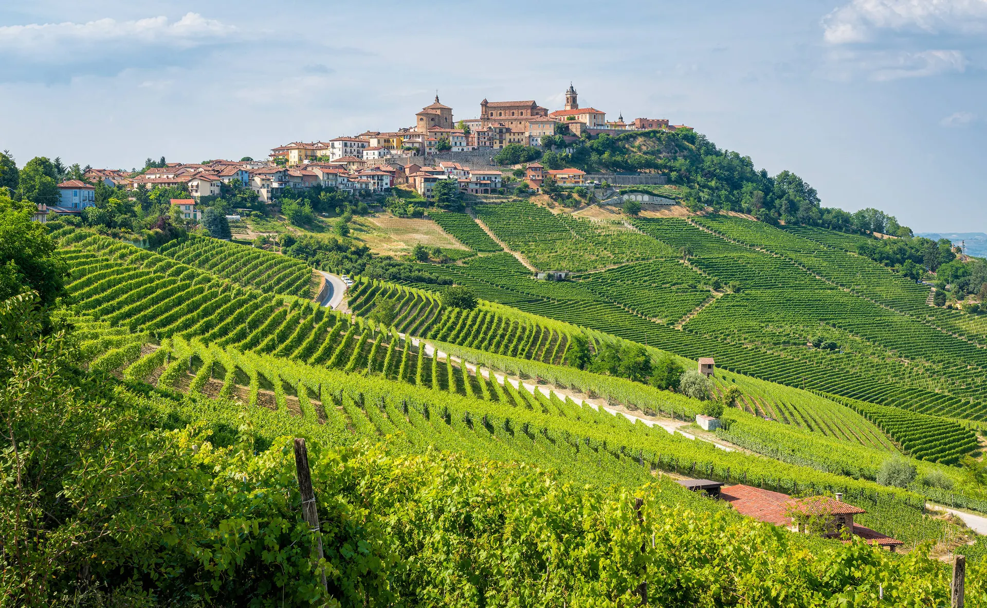 Online bestellen: Culinaire wijnreis in Noord-Italië, Acqui Terme