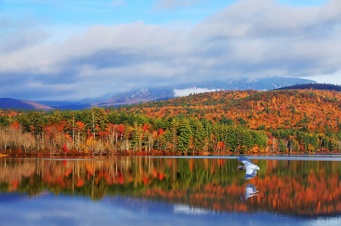 Online bestellen: Colors of New England