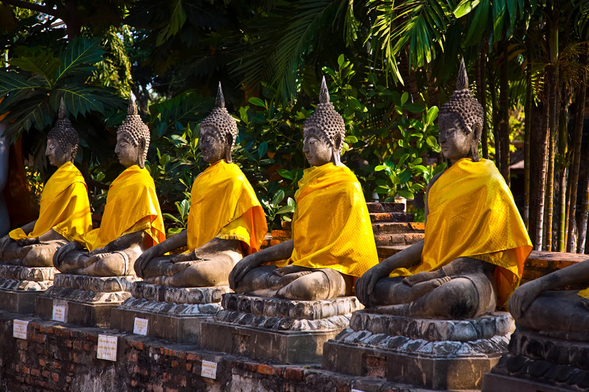 Rondreizen Thailand | de Jong Intra Vakanties