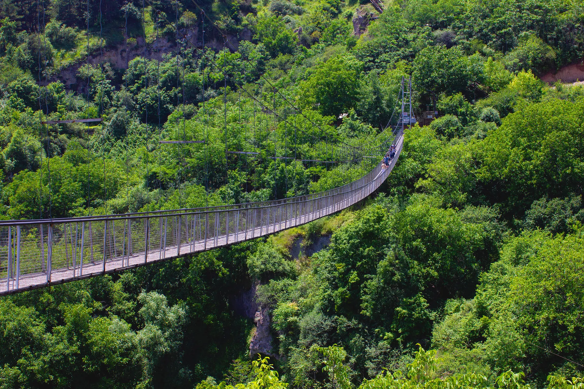 Monteverde Cloud Forest 15