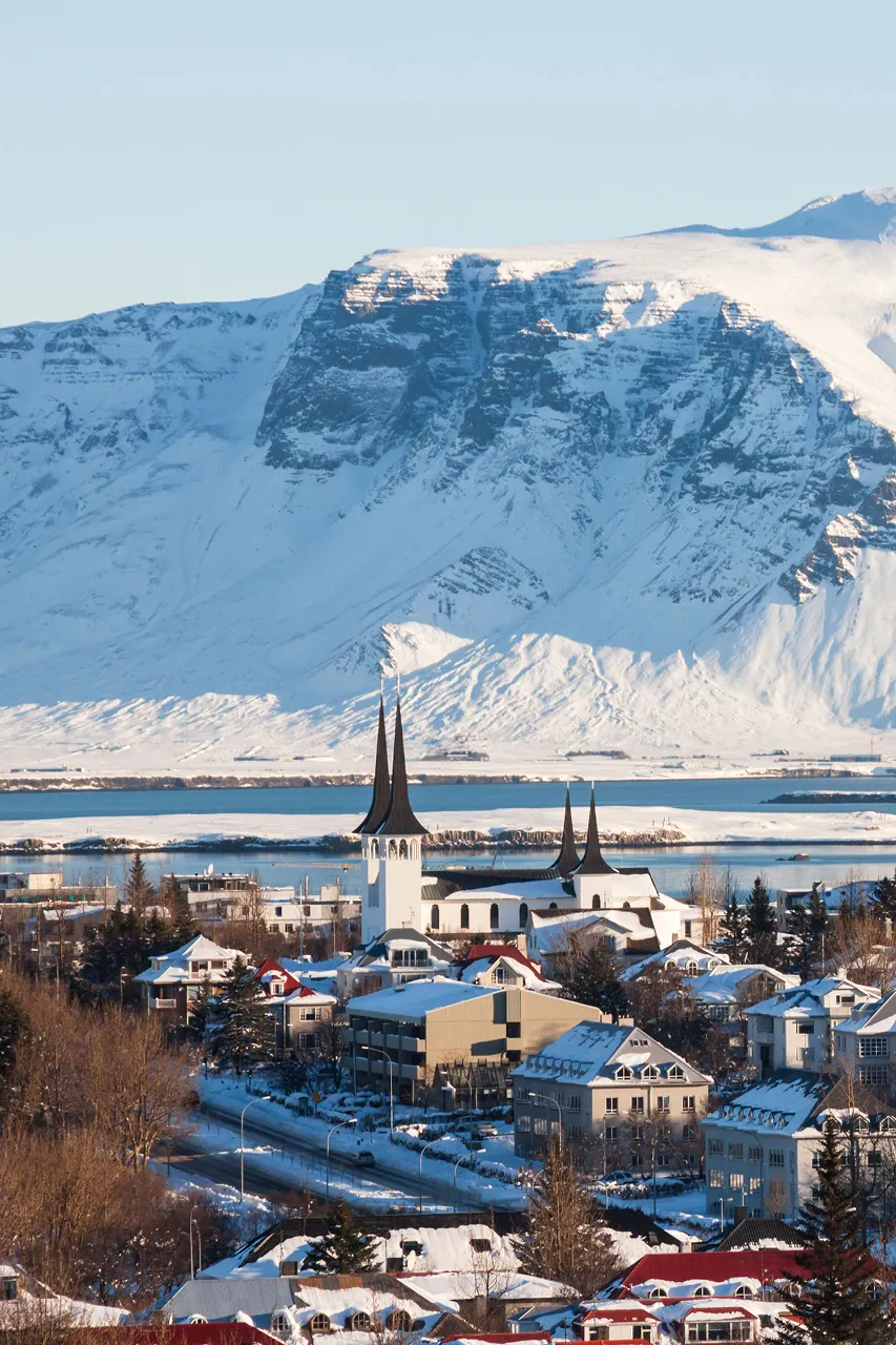 Stedentrip Reykjavik, Skyline, Reykjavik, IJsland | de Jong Intra Vakanties
