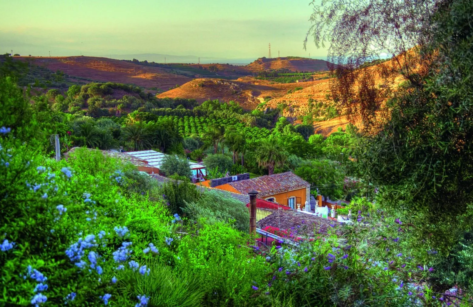 Tenuta di Roccadia.