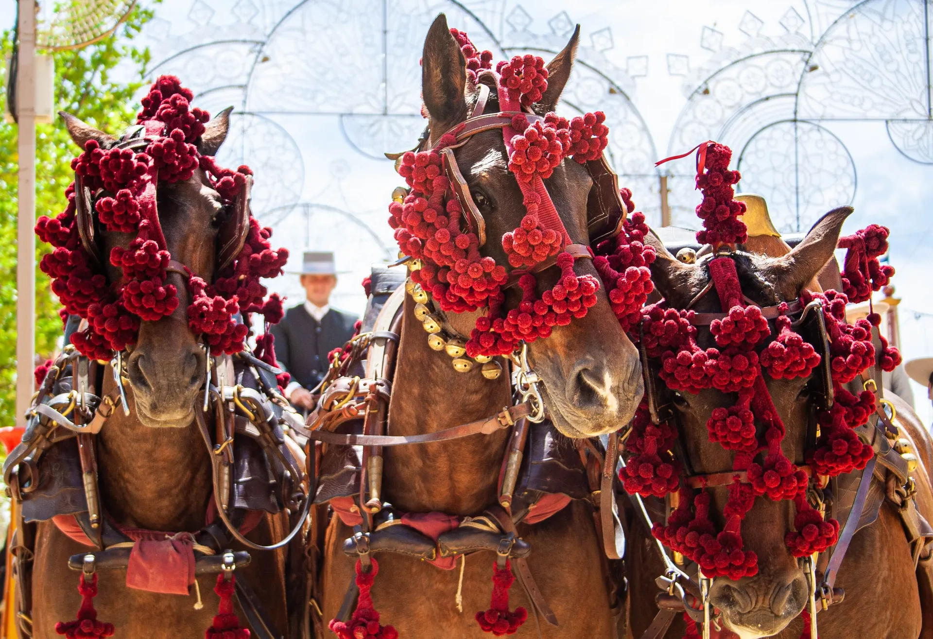 Jerez de la Frontera