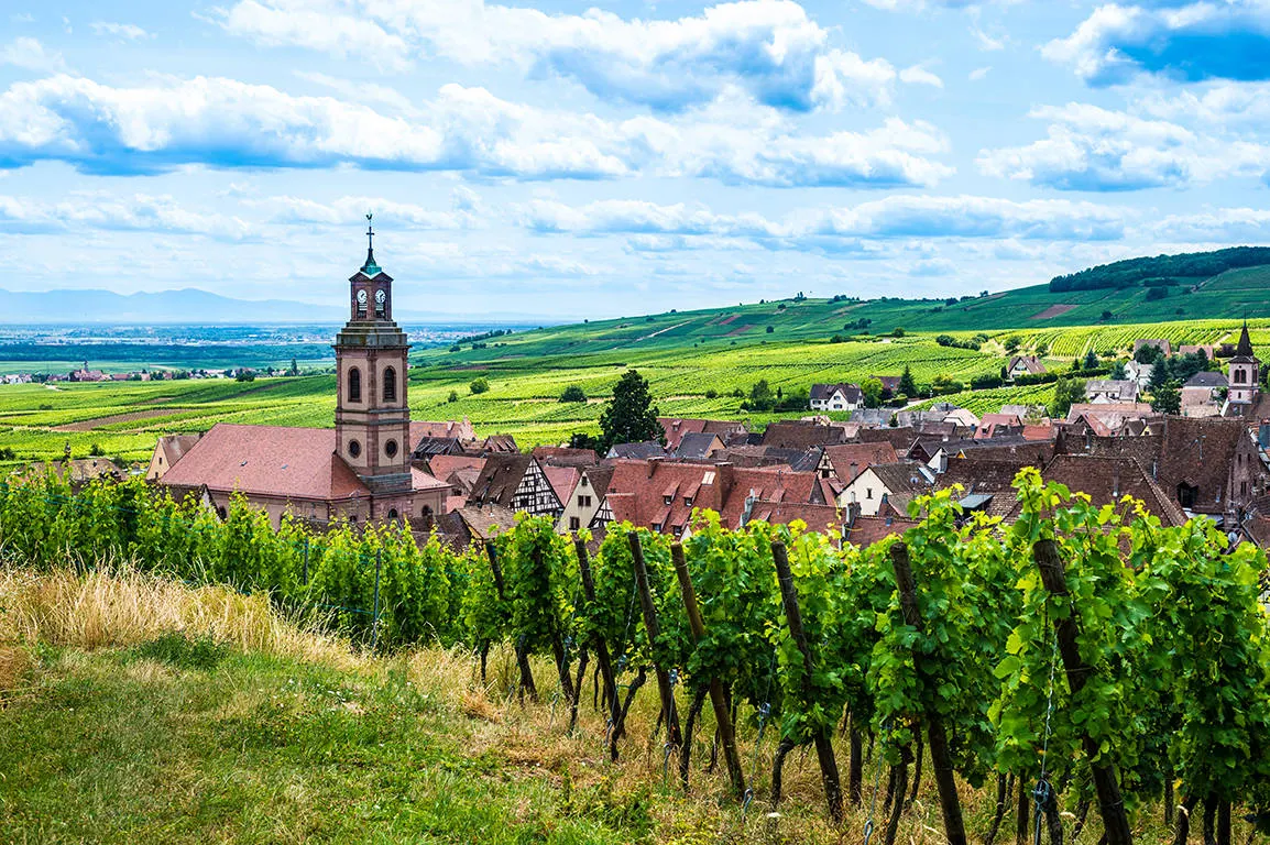 Zwarte Woud en de Elzas, Endingen