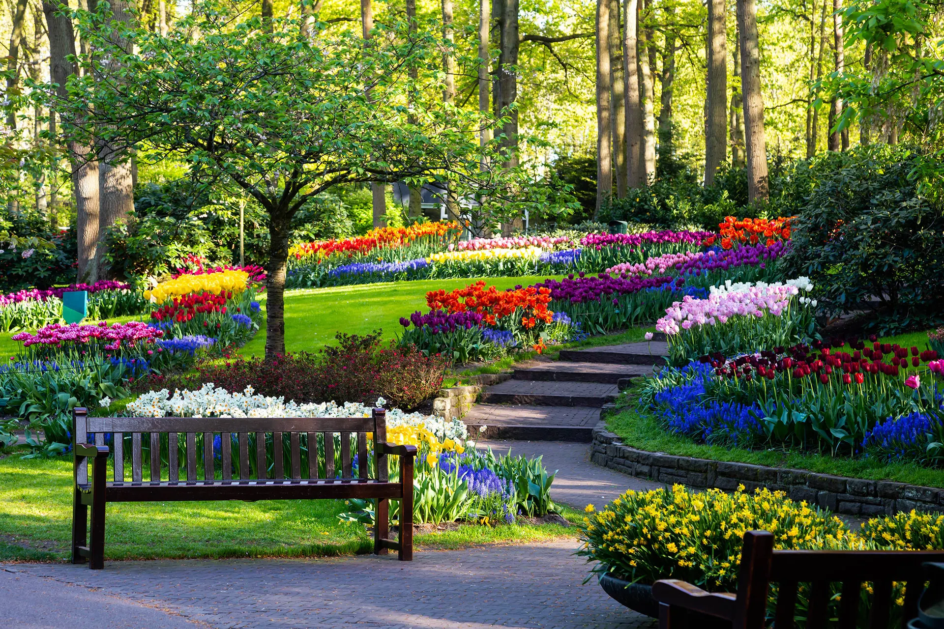 Online bestellen: Bloemencruise vanaf Rotterdam