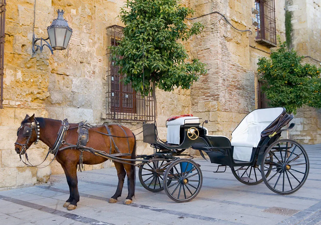paard en wagen Cordoba