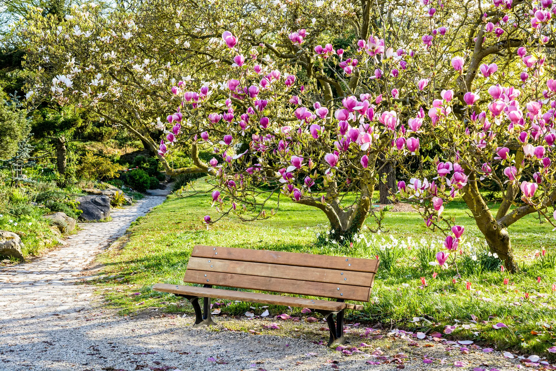 Magnolia Park, Wroclaw