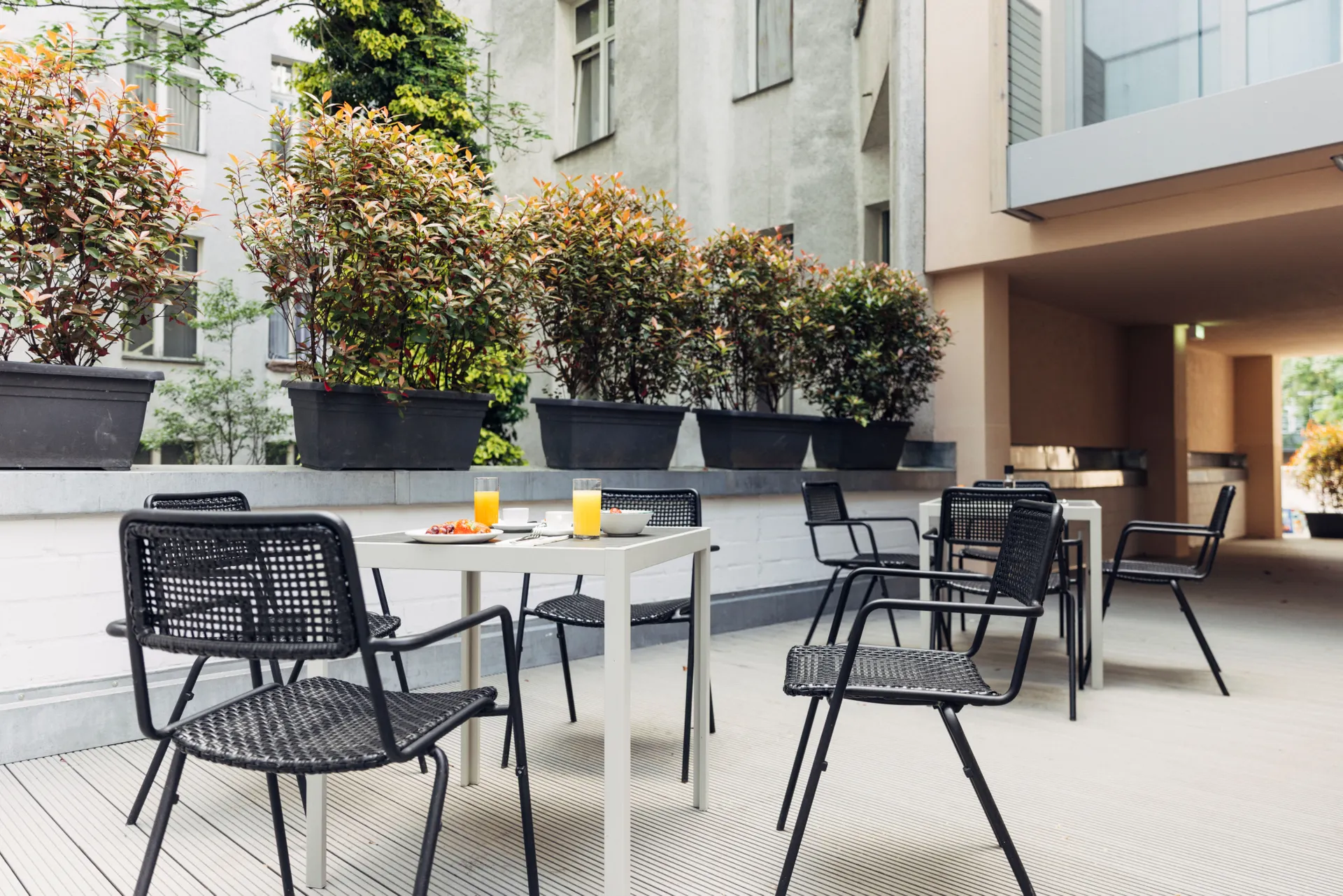 Terras