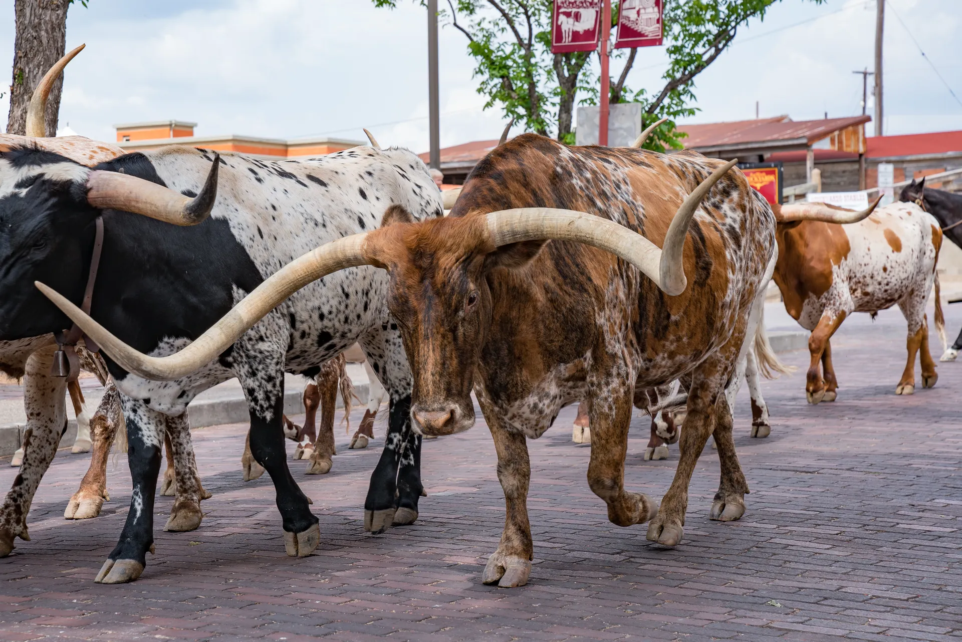 Ontdek Texas.