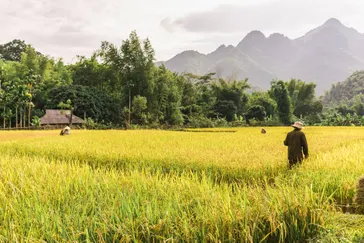 Mai Chau Valley