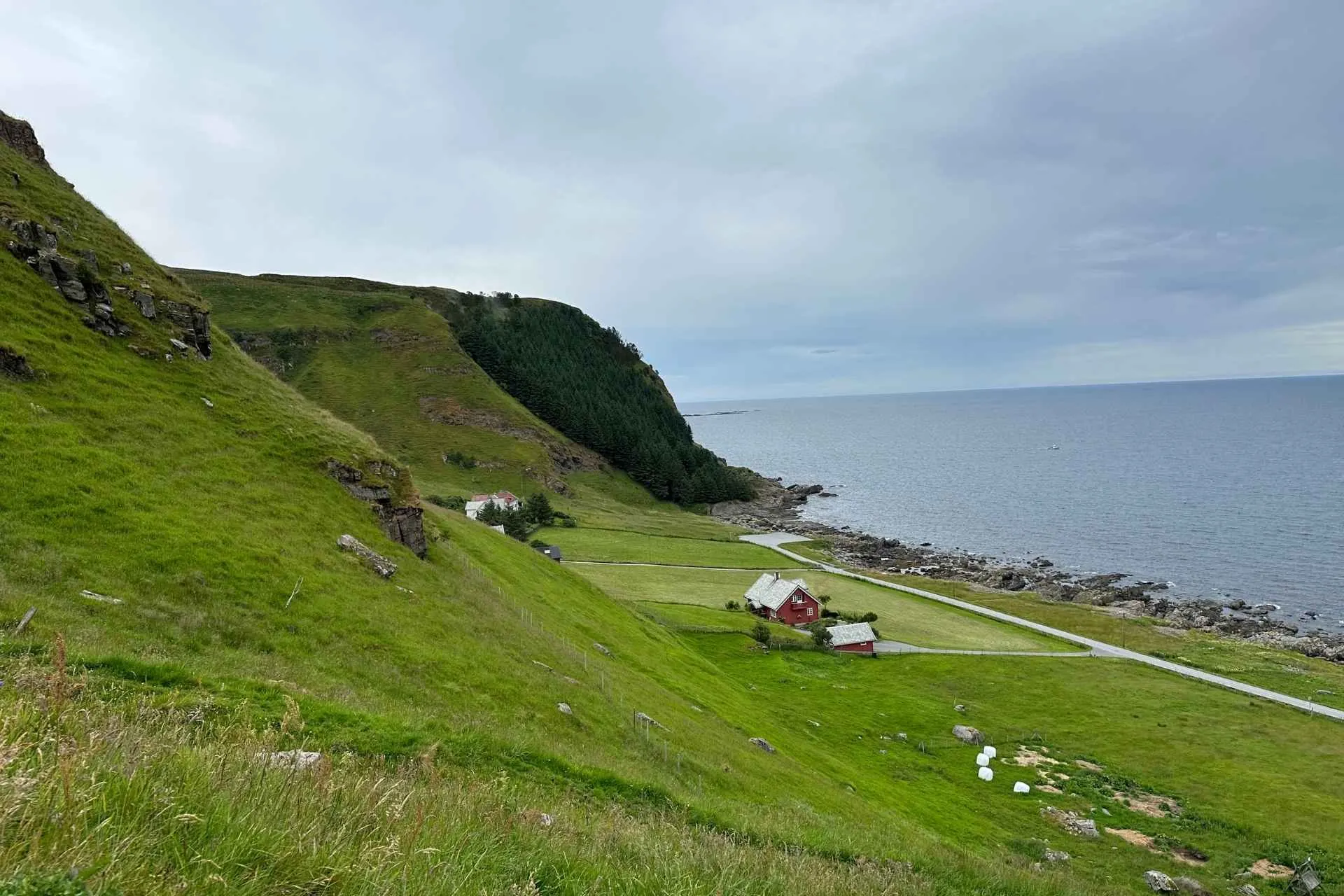 Het schitterende groene Runde eiland, Noorwegen - de Jong Intra Vakanties