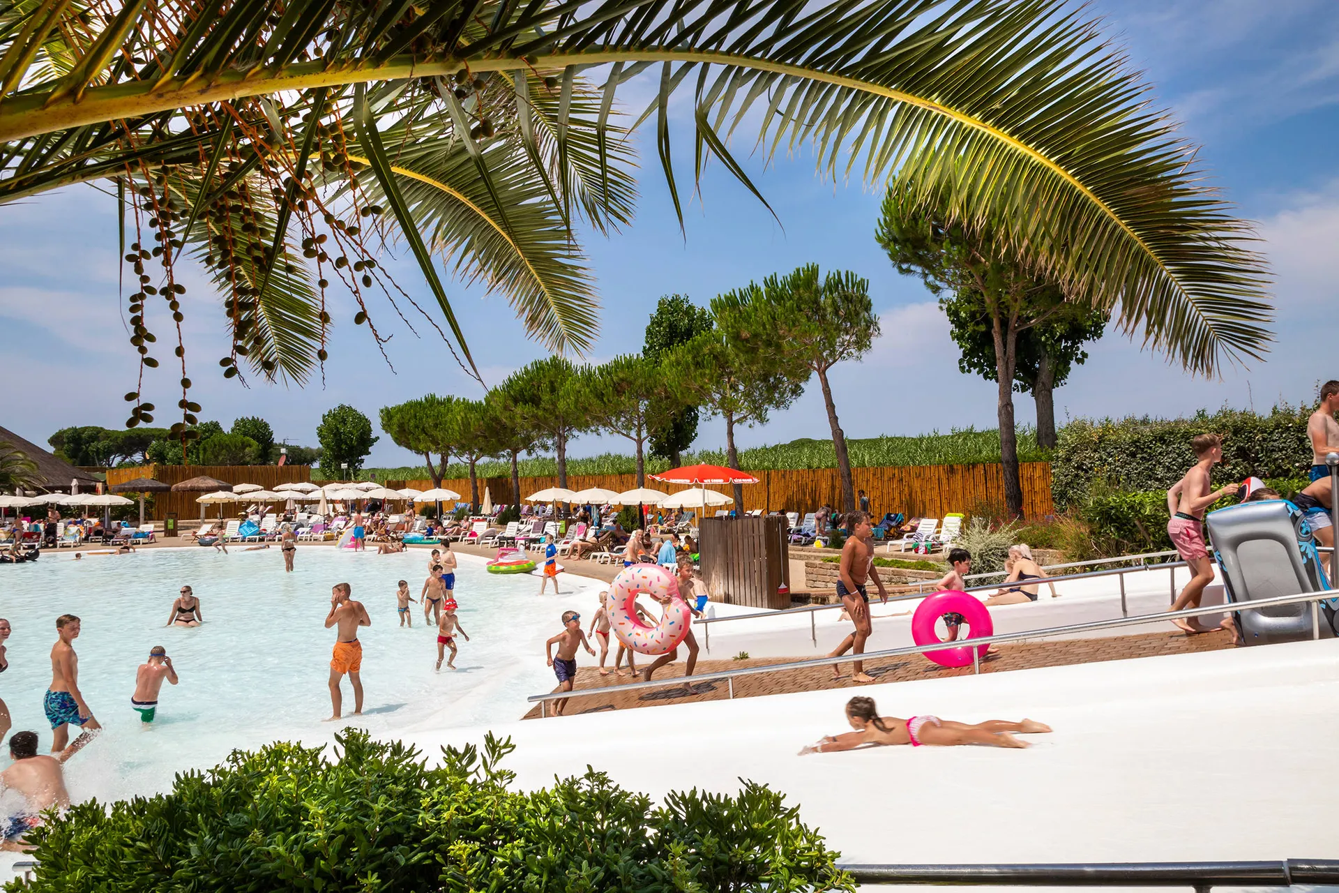 Camping hu Park Albatros Village