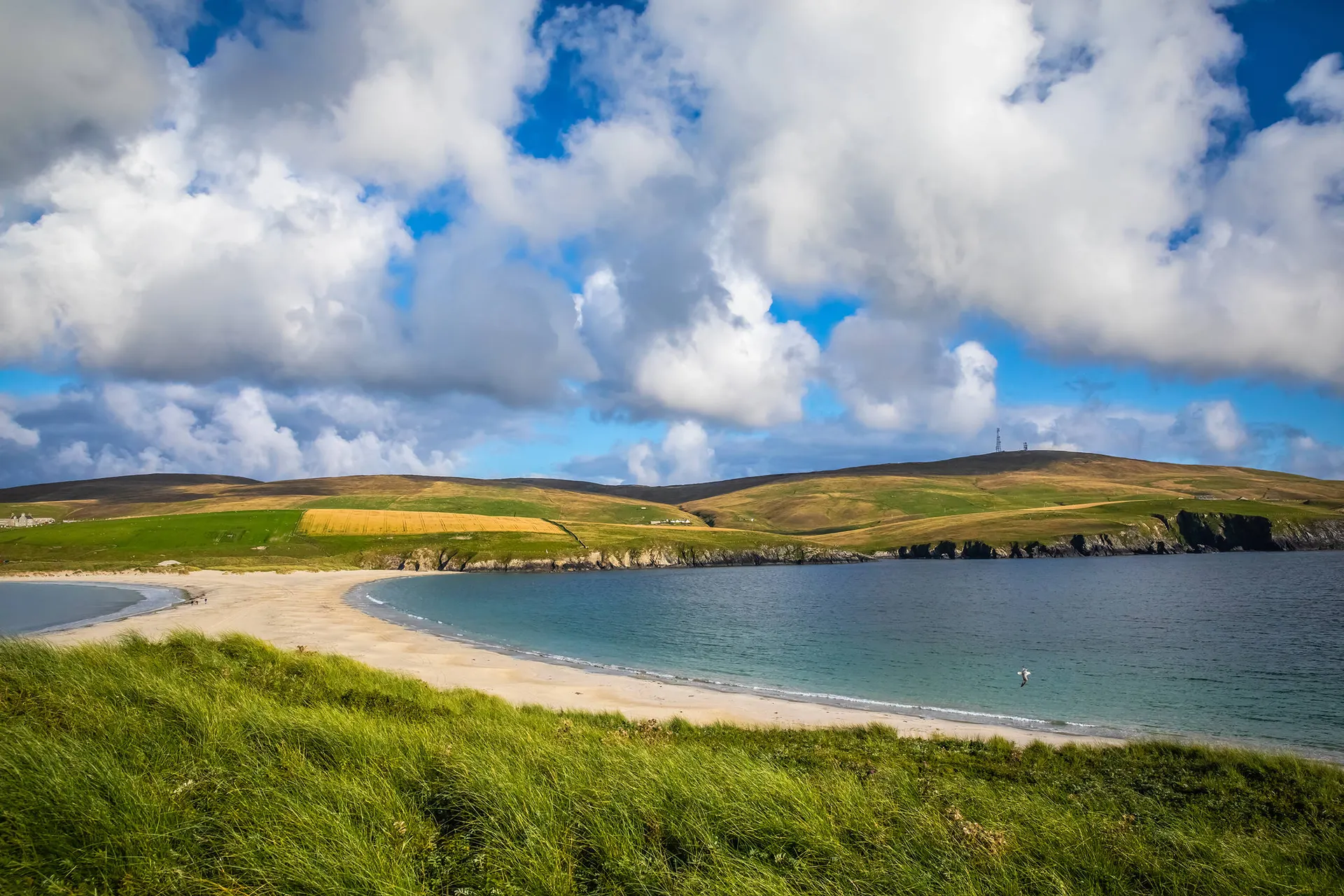 Orkney en Shetland Eilanden