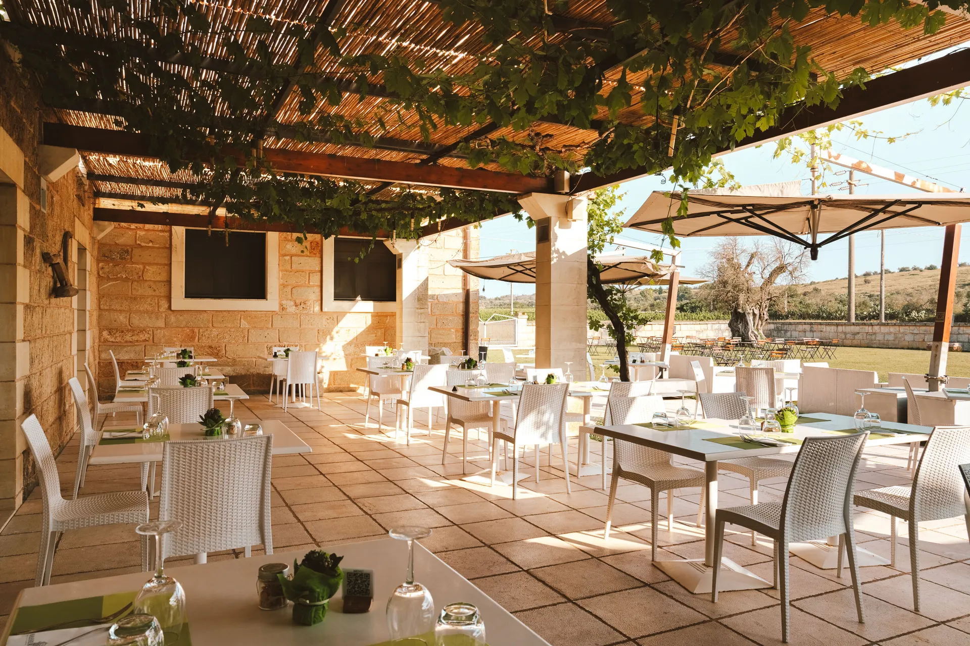 Terras