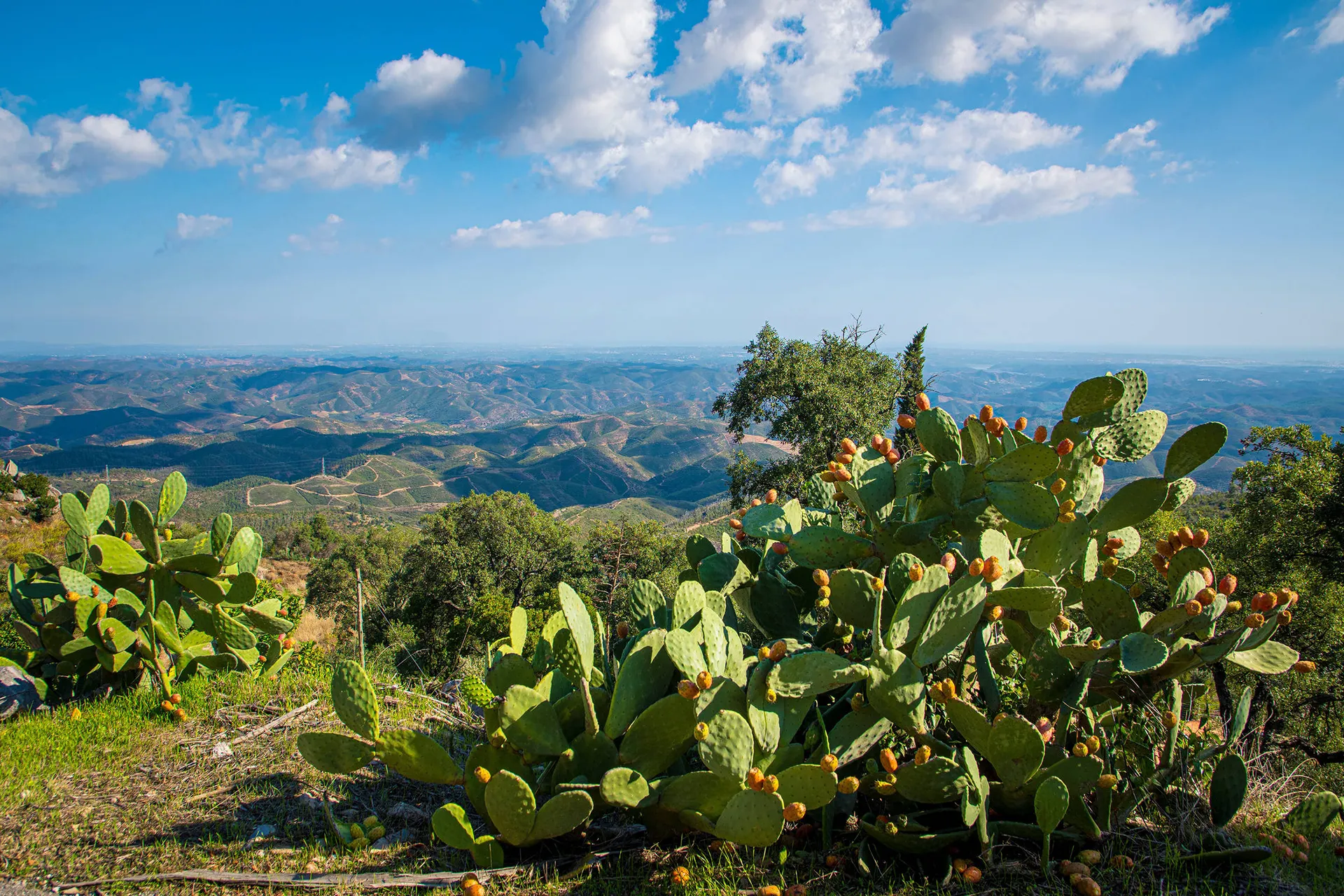 Ontdek de Algarve vanuit Monchique
