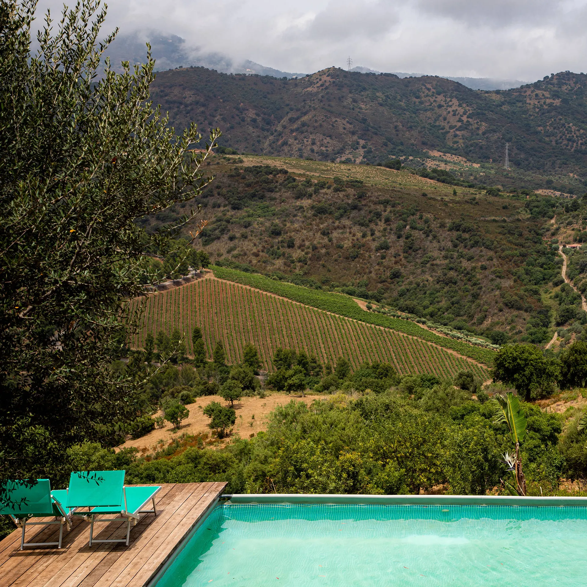 Tenuta Luogo Marchese
