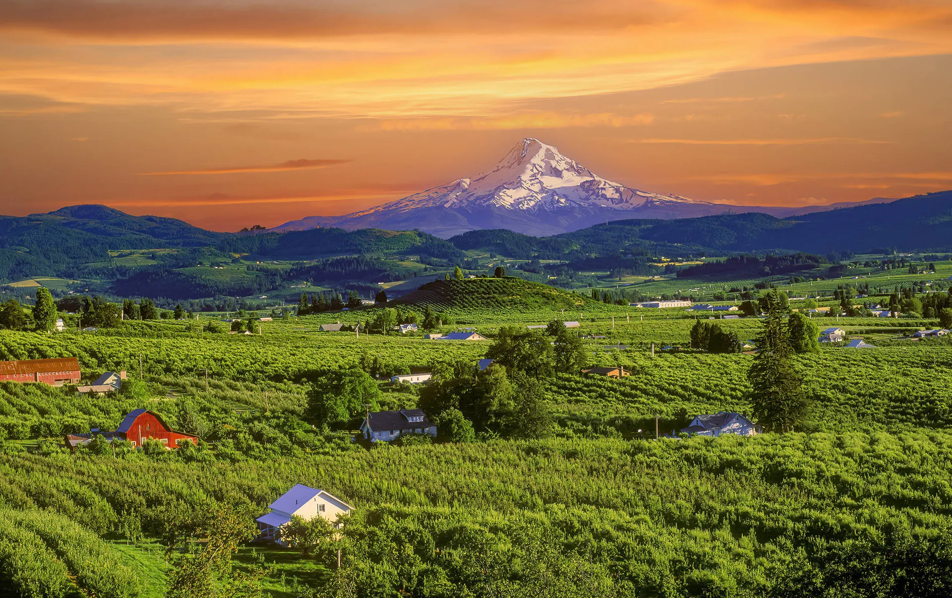 Oregon op het gemak