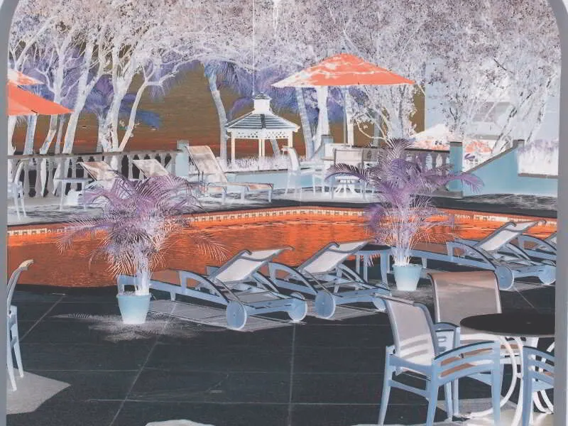 Hotel Harbour Village Beach Club