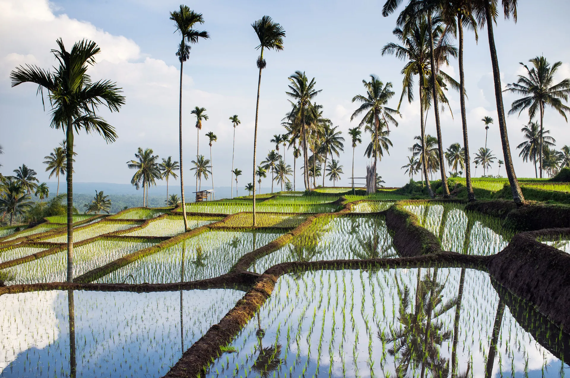 Bali, Gili en Lombok.