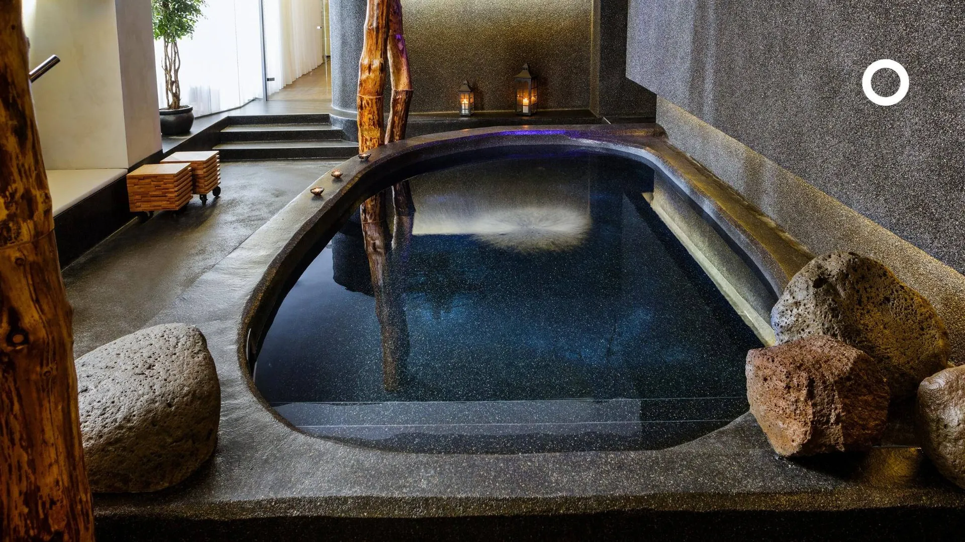 Wellness