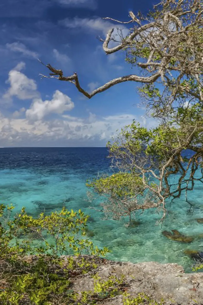 Vakantie Bonaire