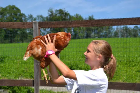 Vakantiedorp Feriendorf Ponyhof afbeelding