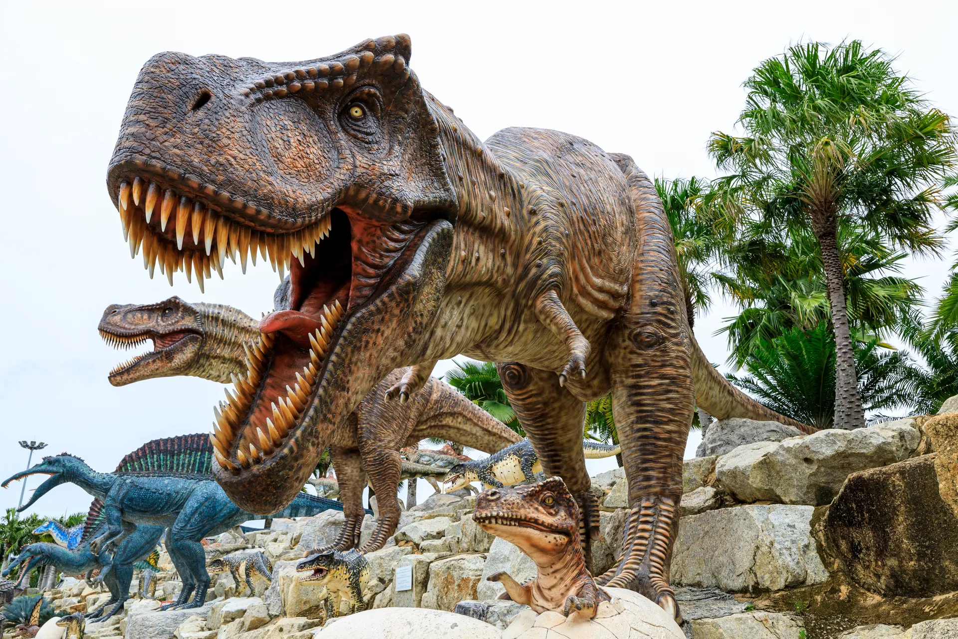 Stedentrip Marrakech, Dino Park Paloozaland, Marrakech, Marokko | de Jong Intra Vakanties