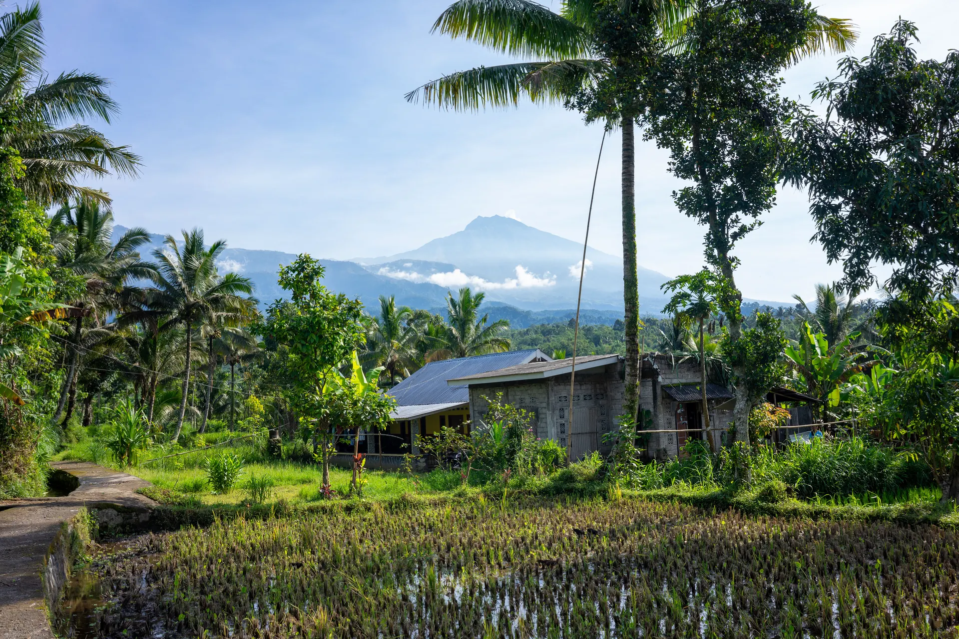 Ontdek Lombok.