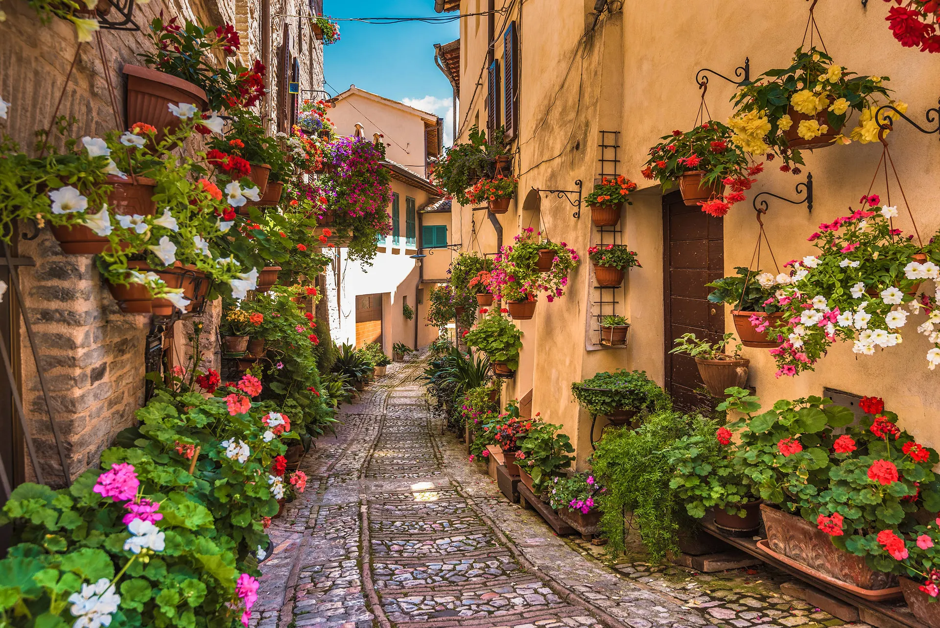 Spello Umbrie