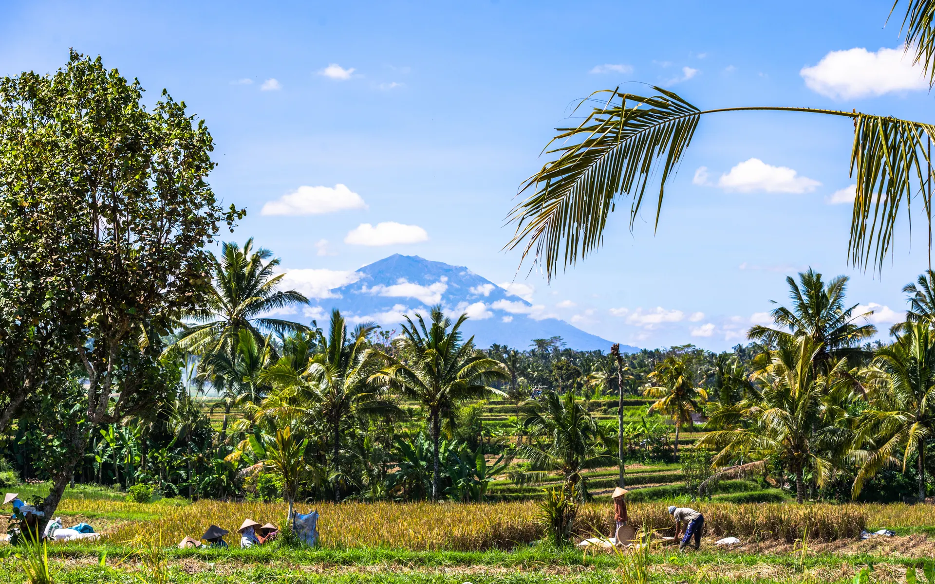 Bijzonder Bali.