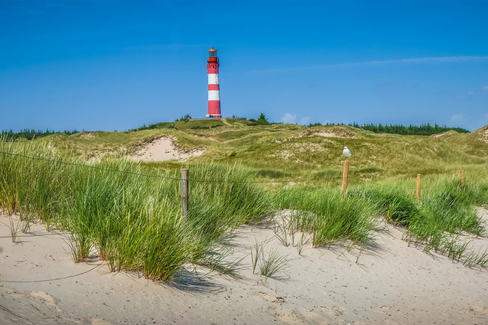Autovakanties Denemarken landscape