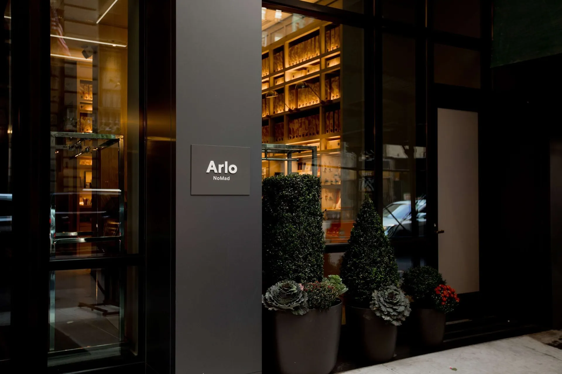 Arlo NoMad.