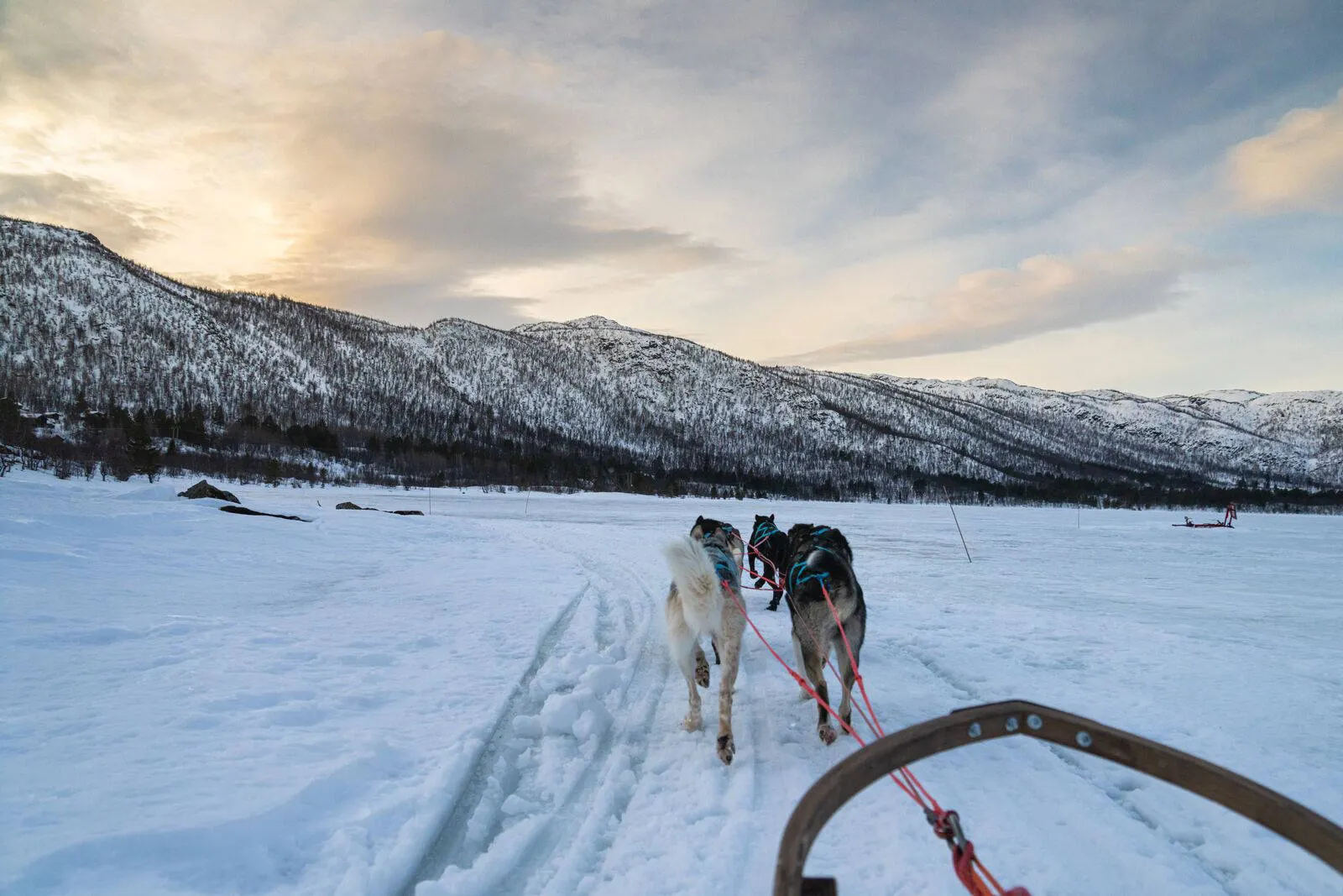 8-daagse Winterbelevenis Tromsø en Sommarøy