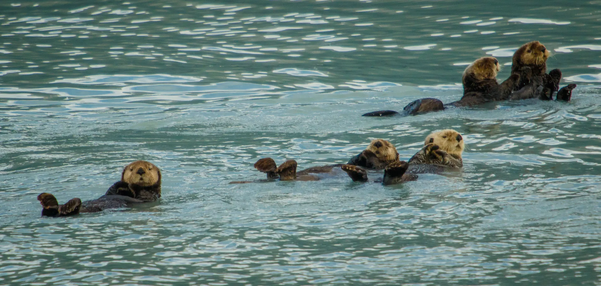 Ontdek Alaska.