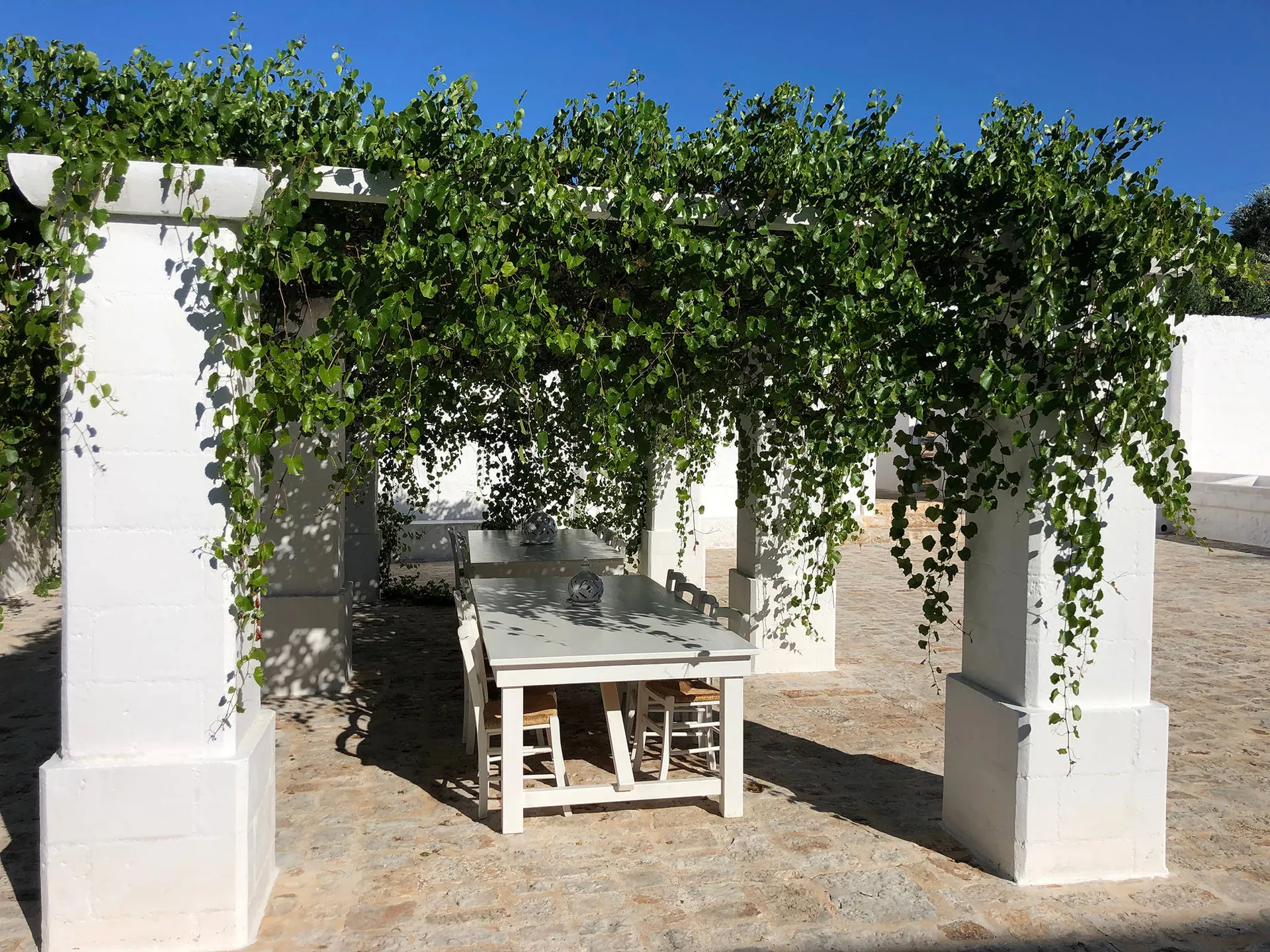 Terras