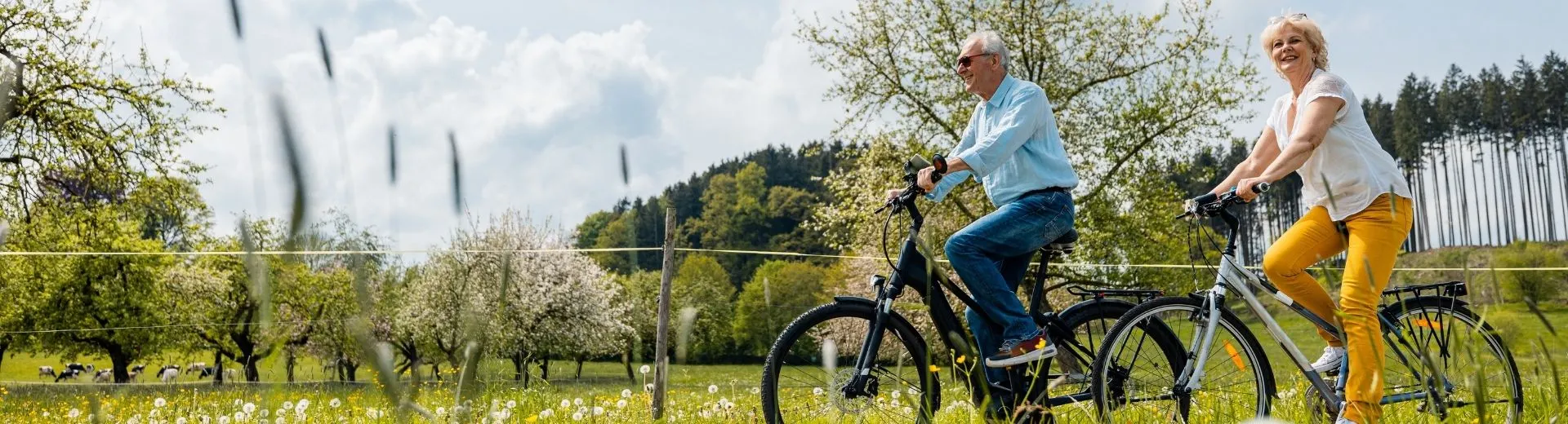 Koppel fietsend door de natuur | de Jong Intra Vakanties