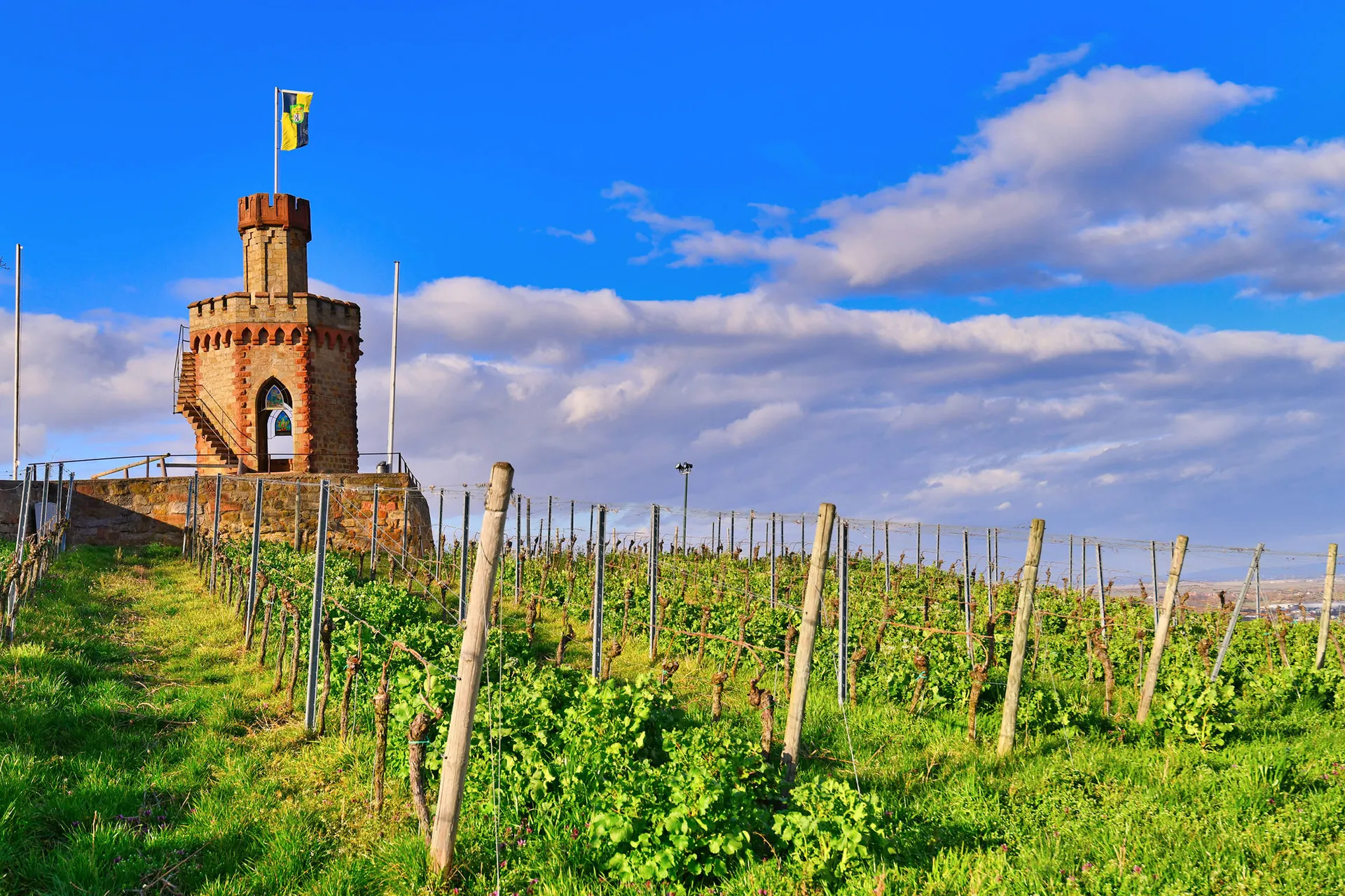 Mercure Hotel Bad Dürkheim afbeelding 3