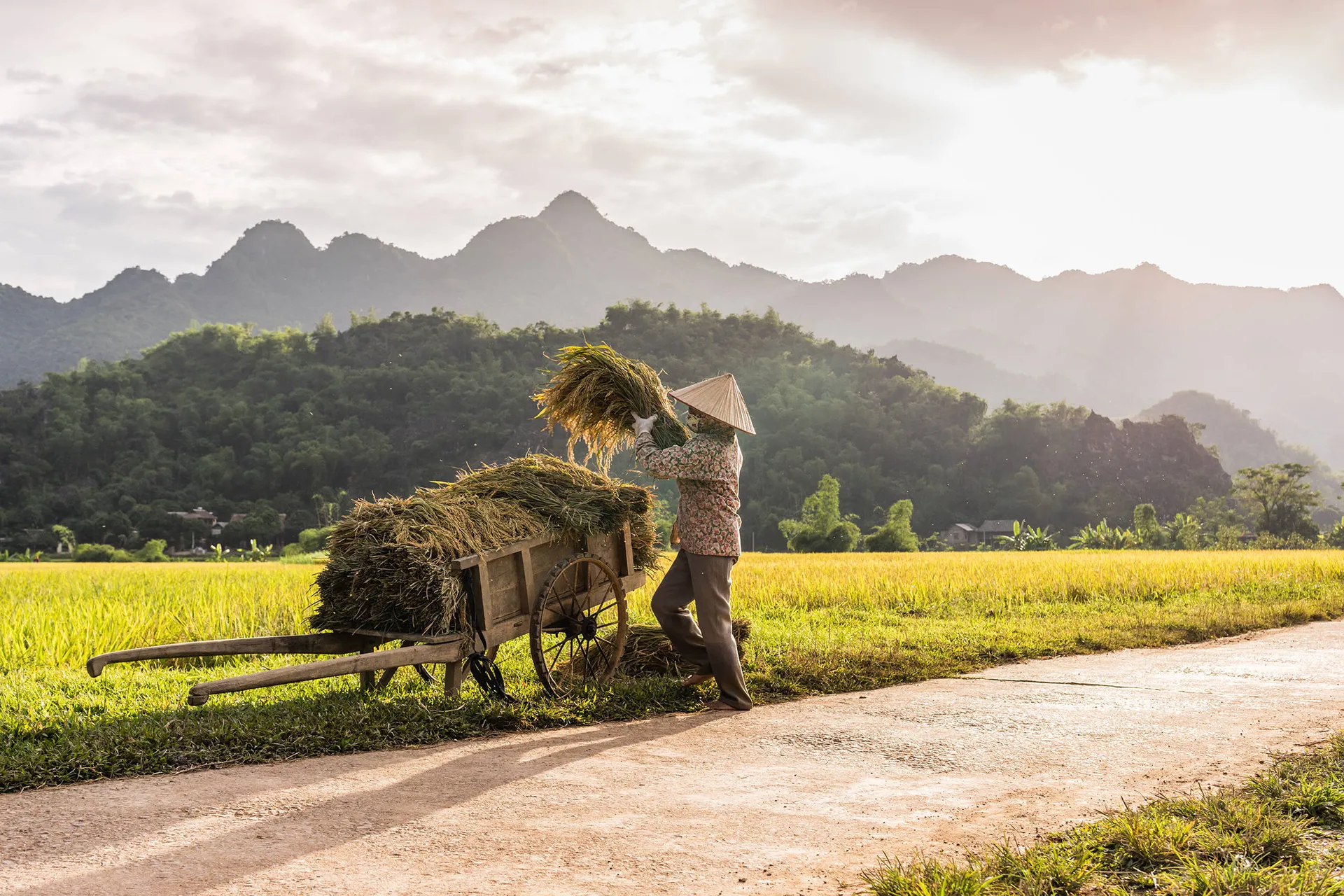 Traditioneel Vietnam