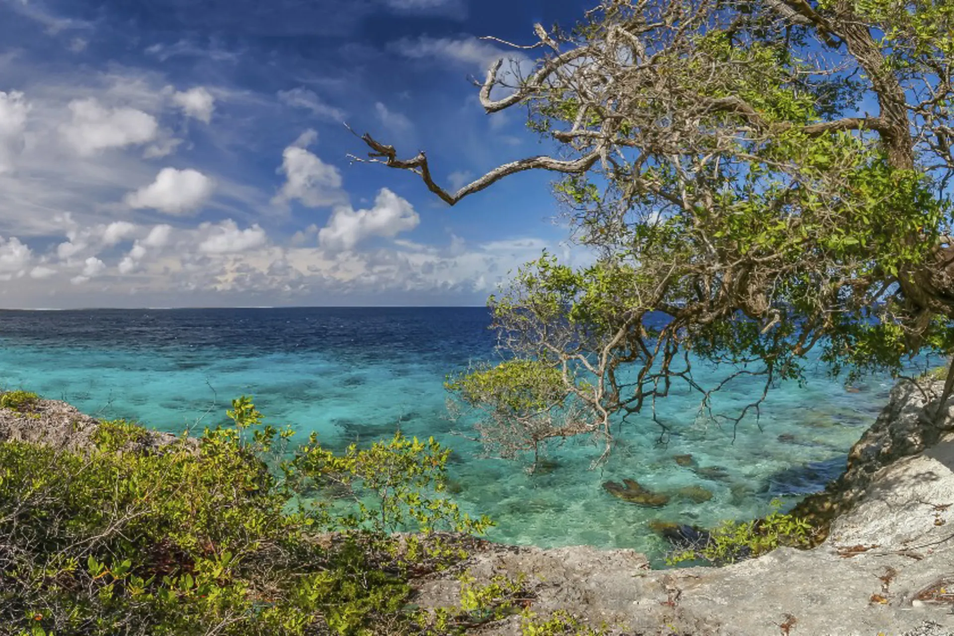 Vakantie Bonaire