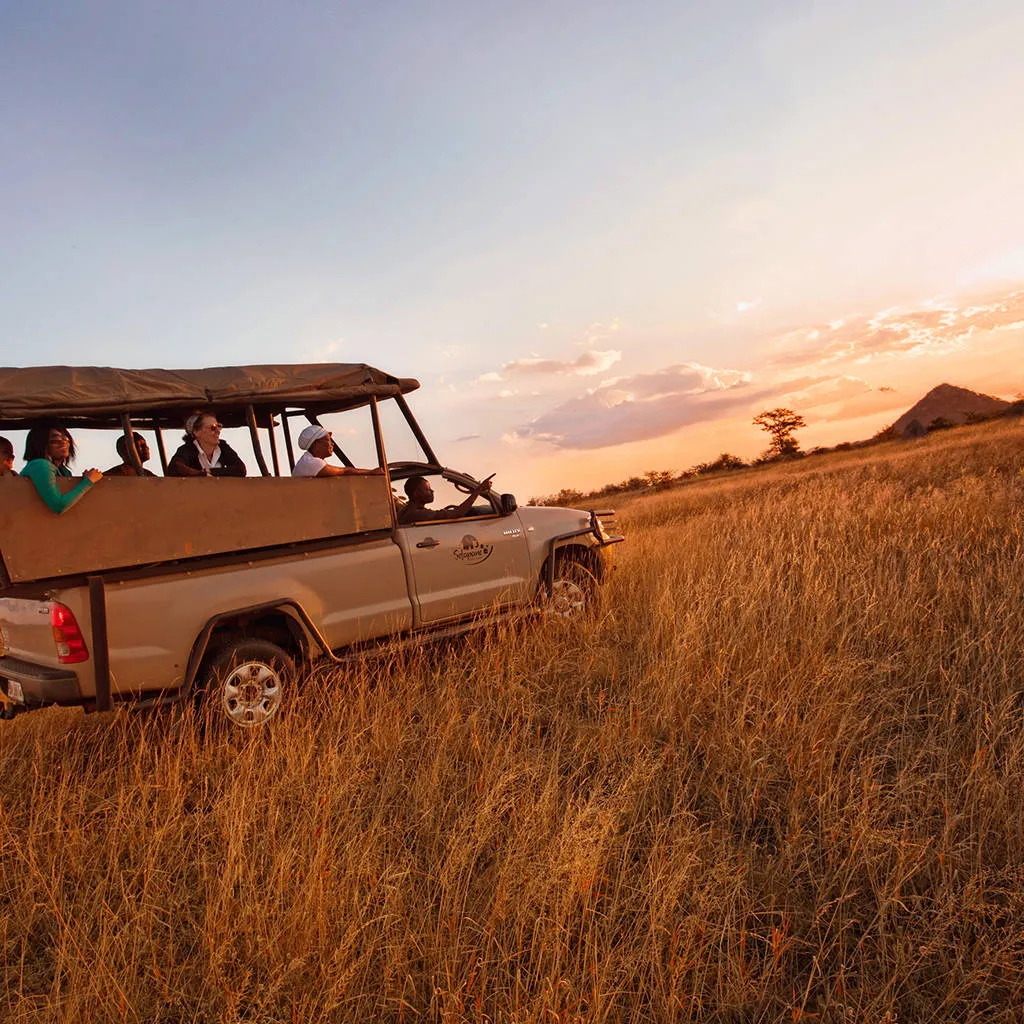 Online bestellen: Ultimate Safari Experience