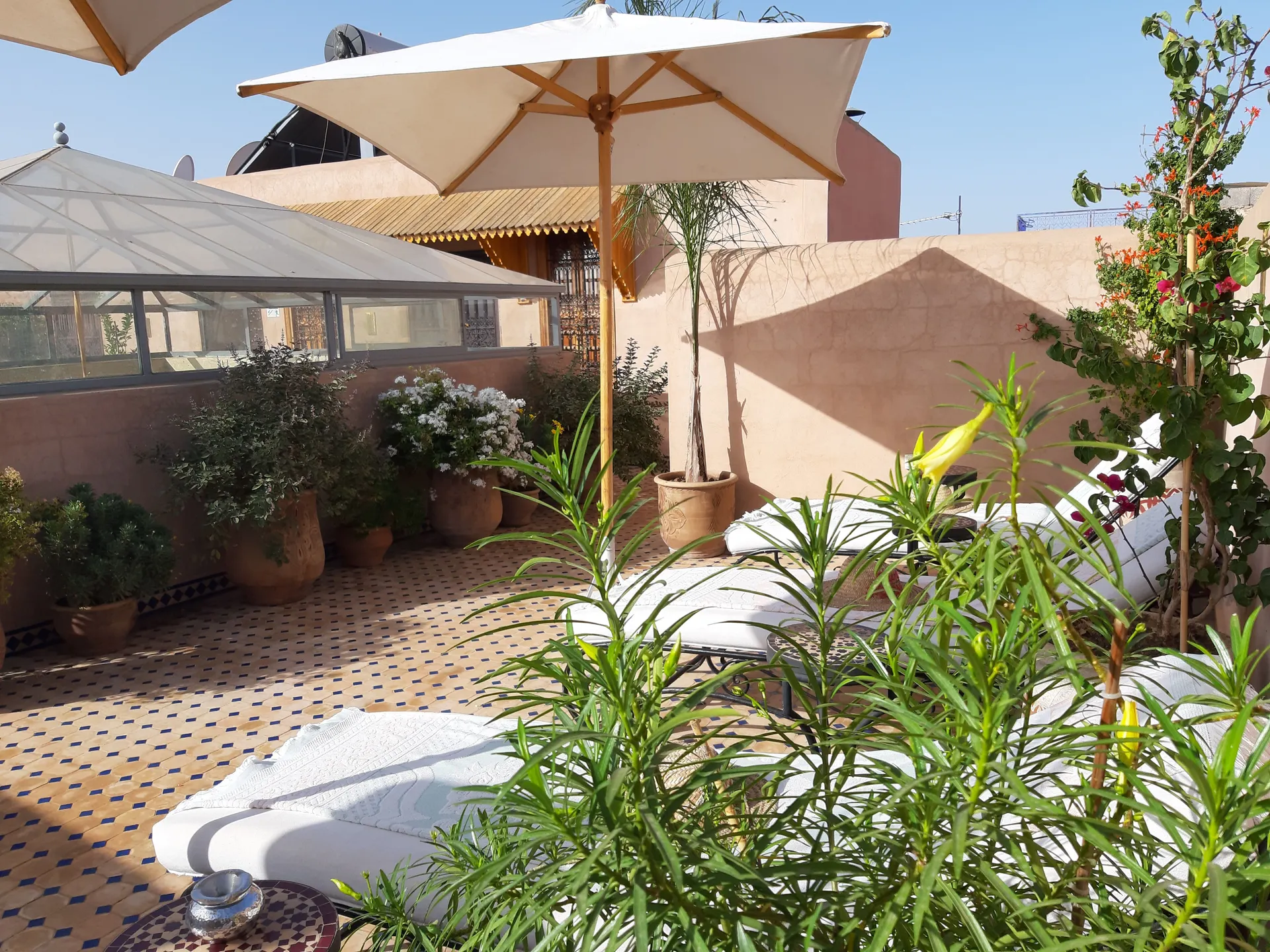 Riad Miral afbeelding 3