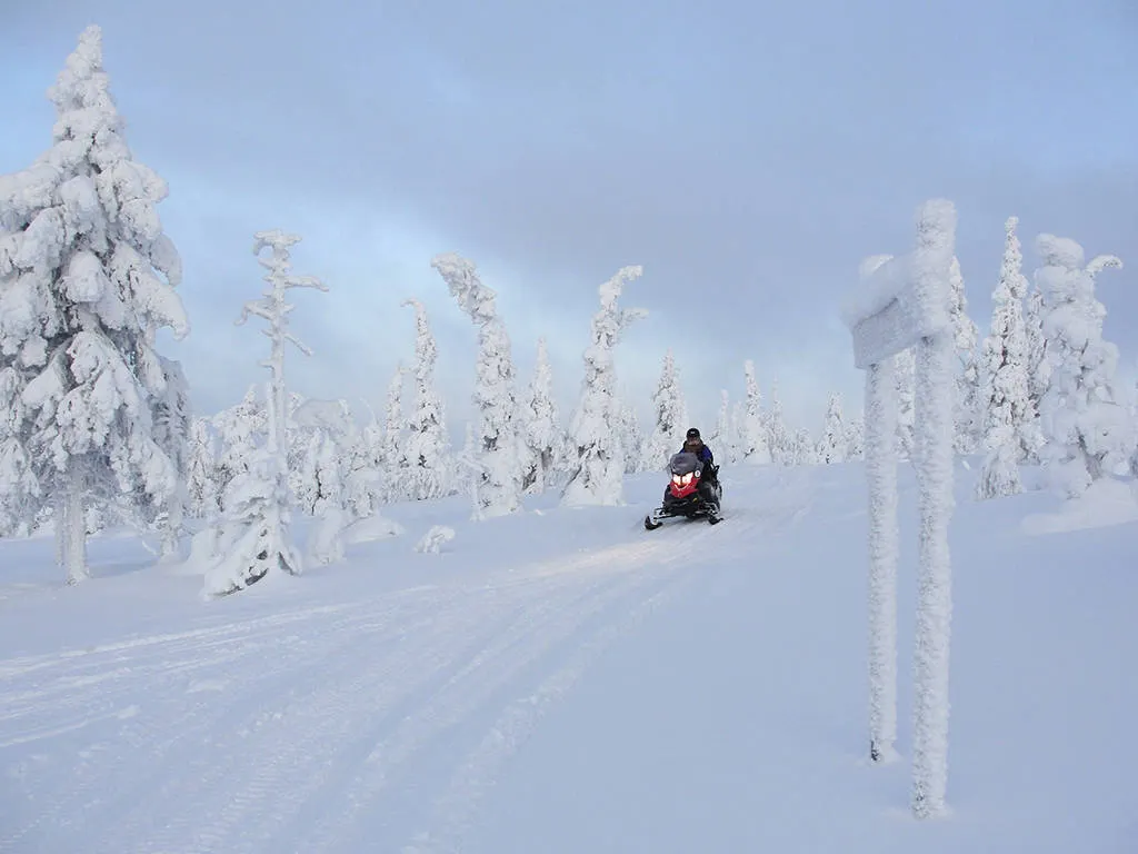 5-daags Winteravontuur Rovaniemi