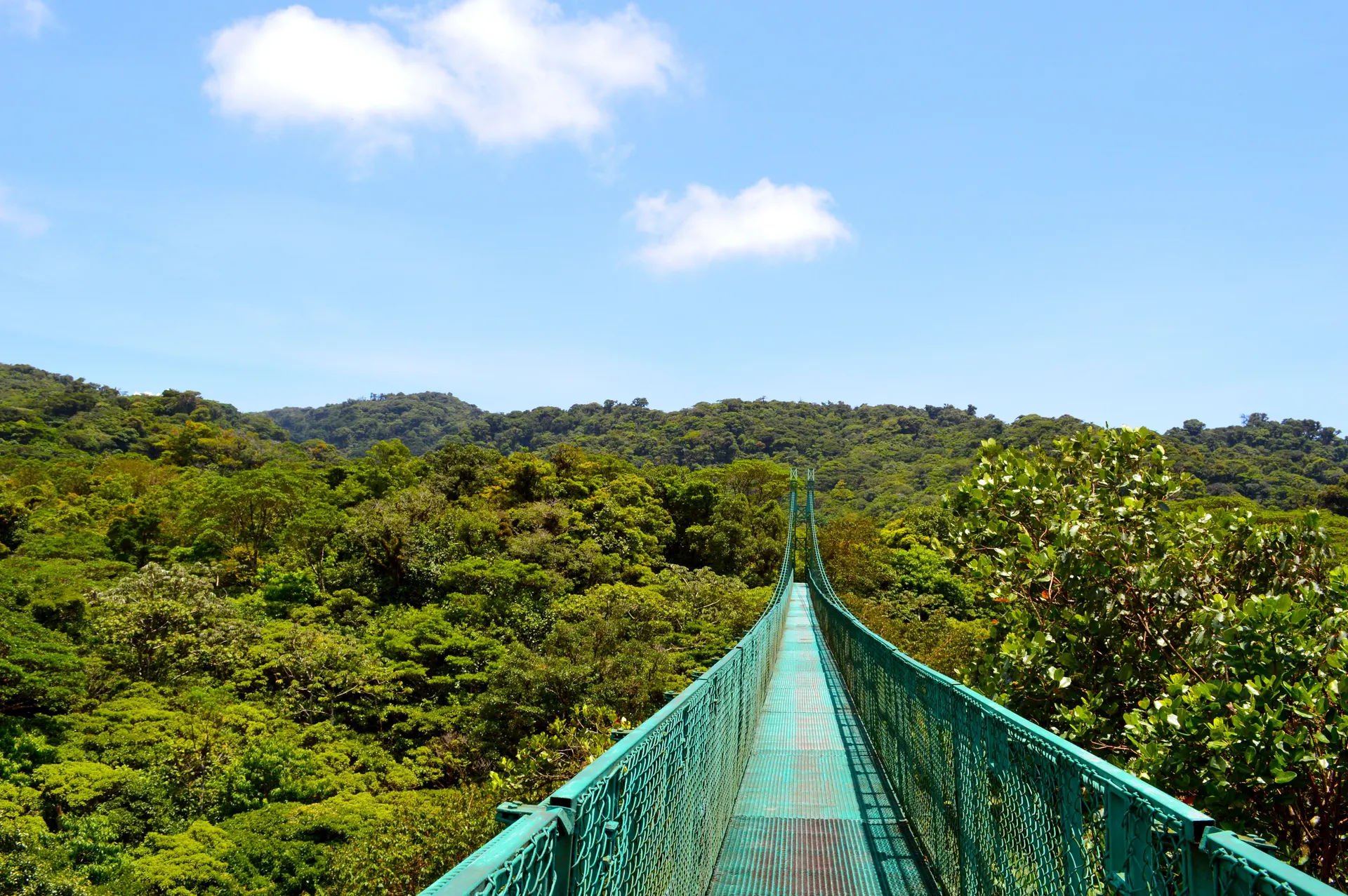Ontdek Costa Rica afbeelding 3