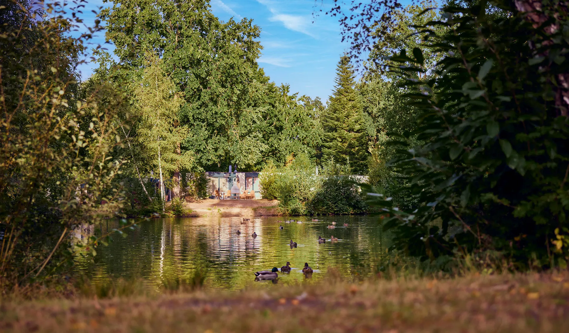 Online bestellen: Center Parcs Erperheide