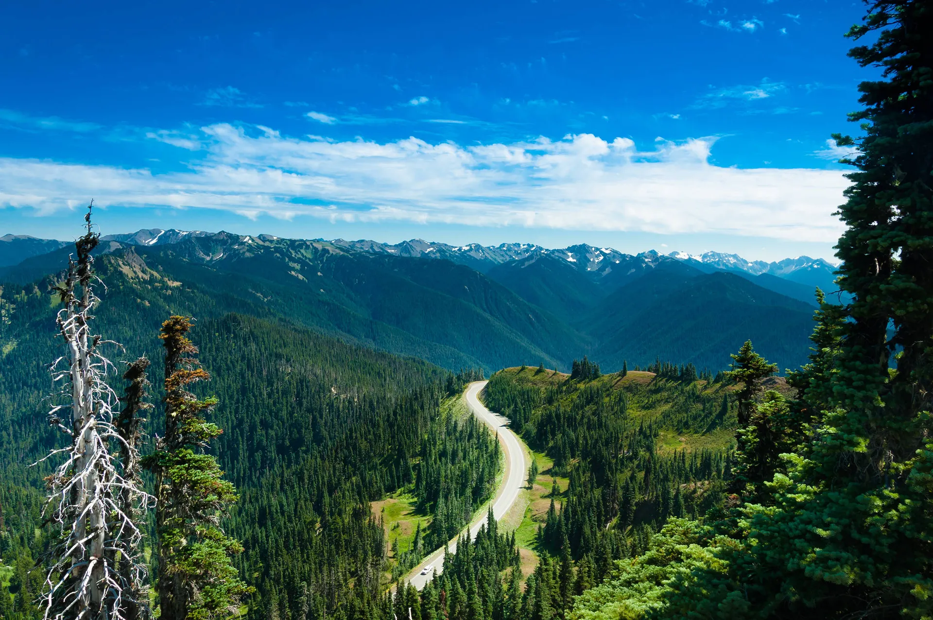 Olympic National Park