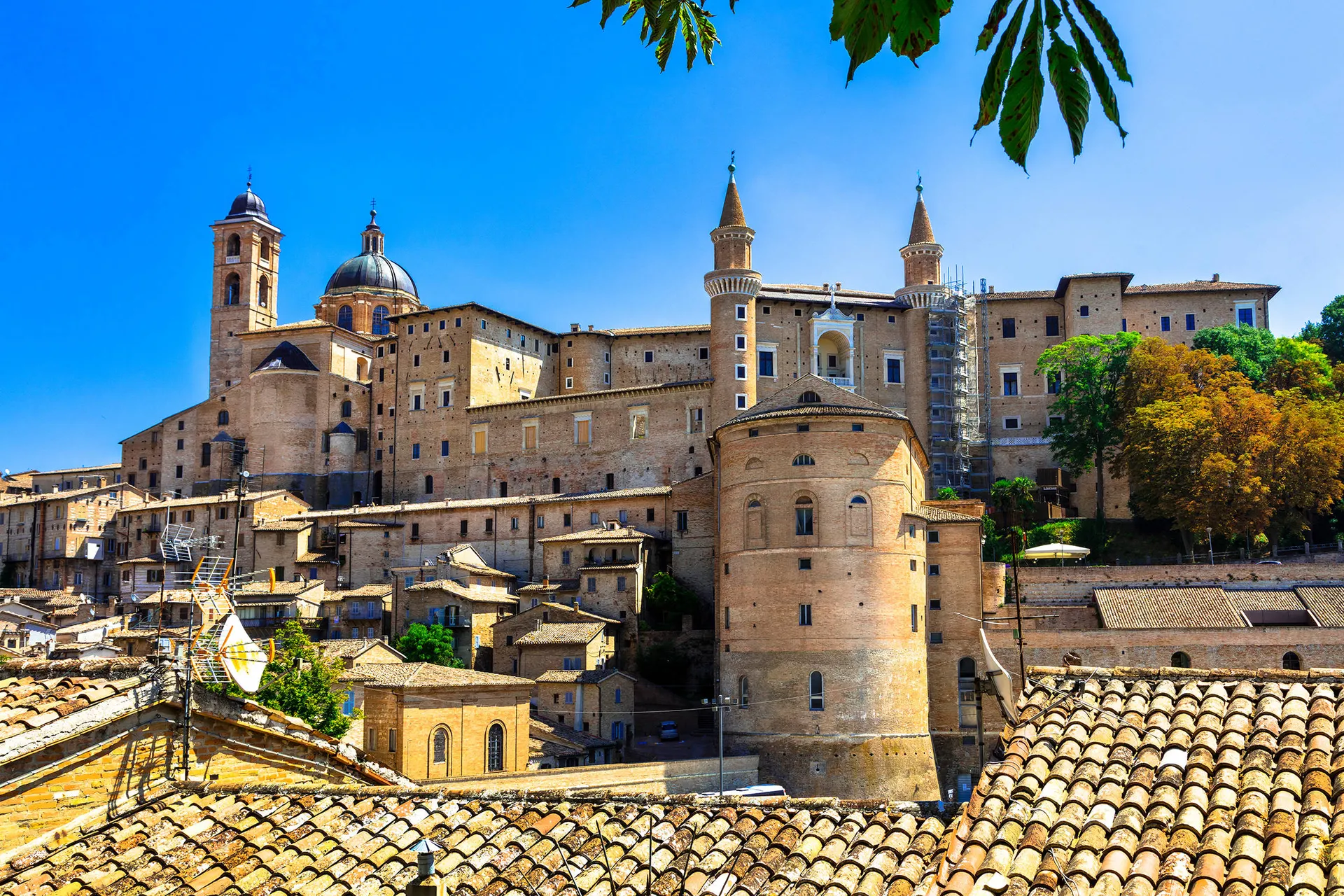 Urbino