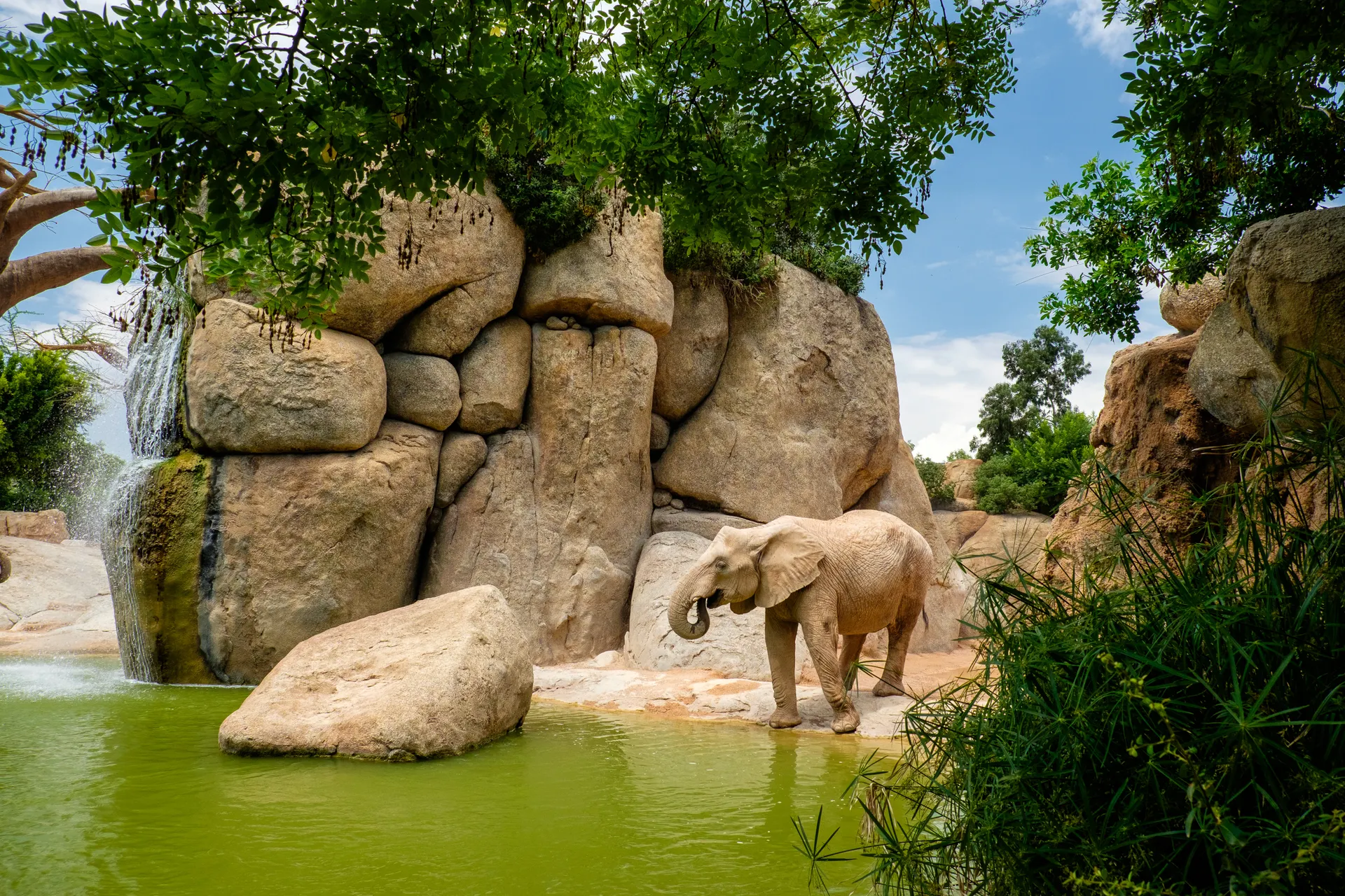 Stedentrip Valencia, Bioparc, Valencia, Spanje | de Jong Intra Vakanties