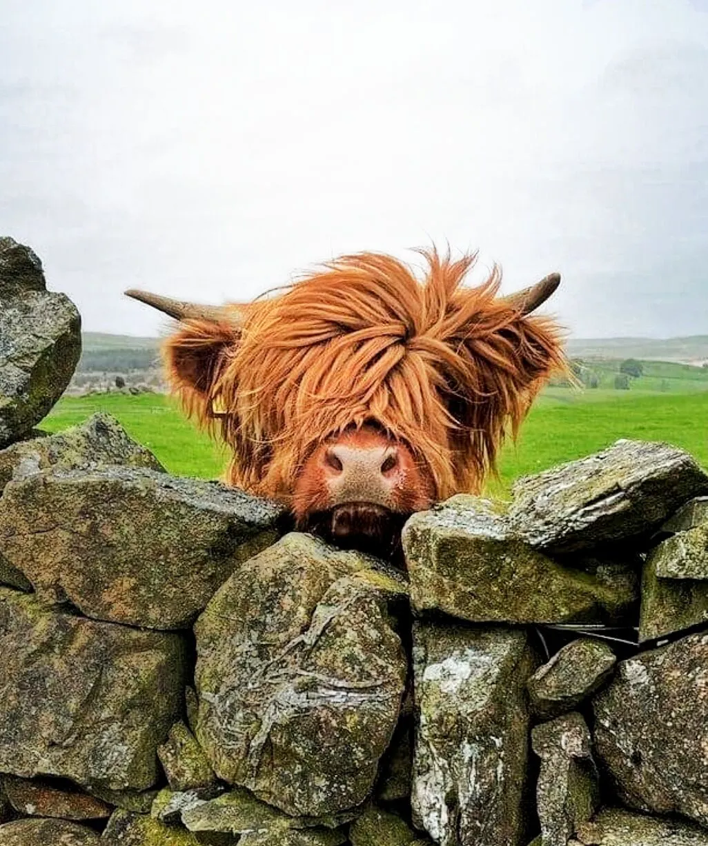Highlands en Hebriden.