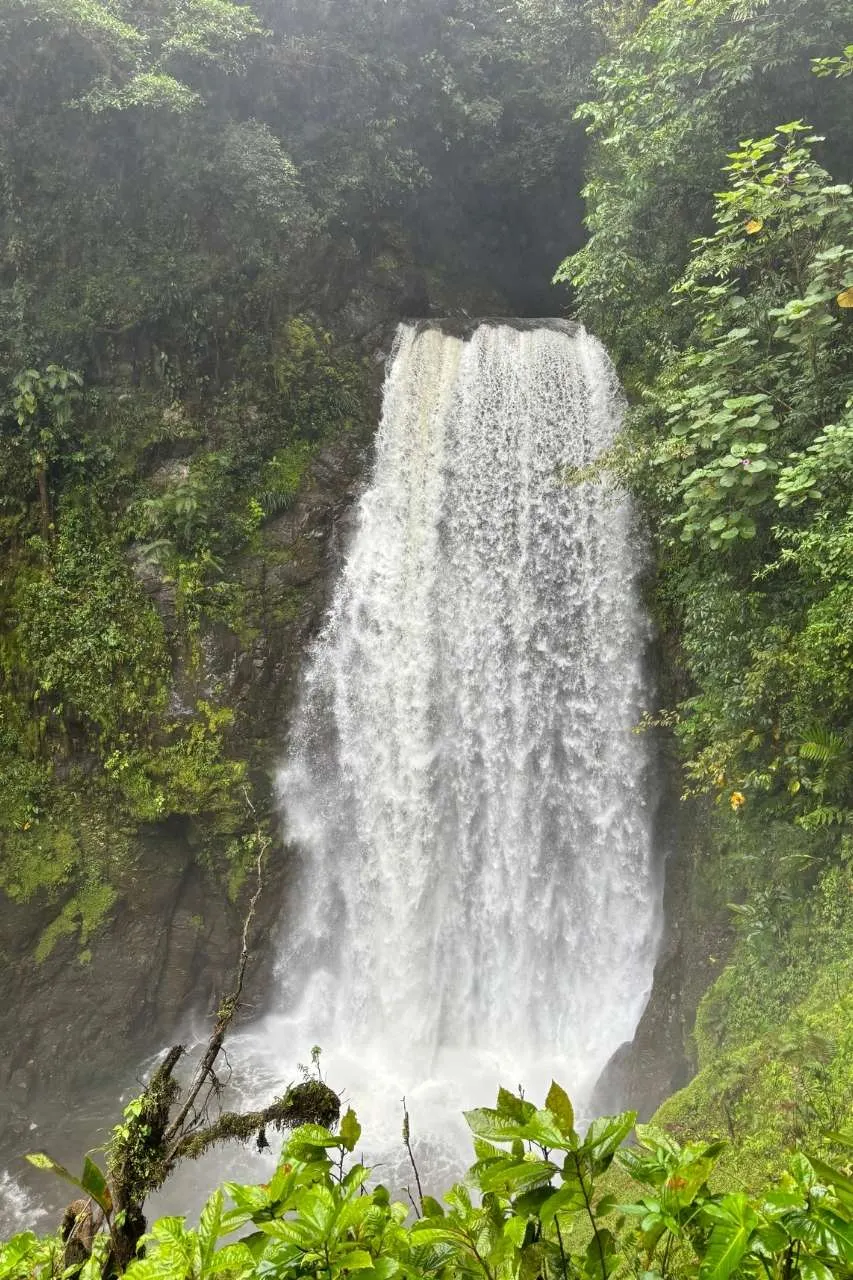 Zicht op de El Tigre waterval, Monteverde, Costa Rica | de Jong Intra Vakanties